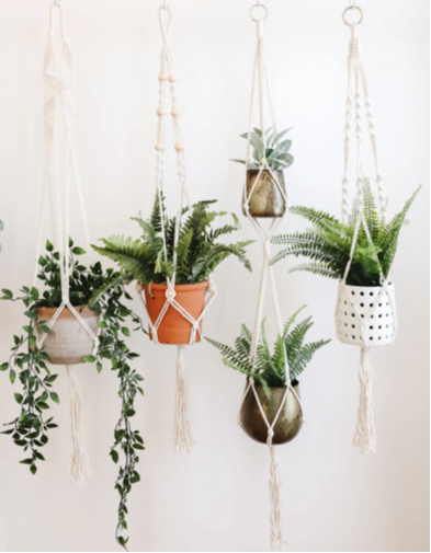 Picture for: Macrame Hanging Planter