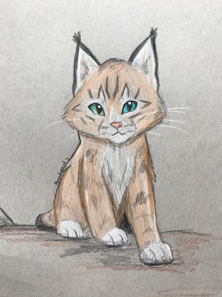 Picture for: Wild Animals Art & Science Workshop