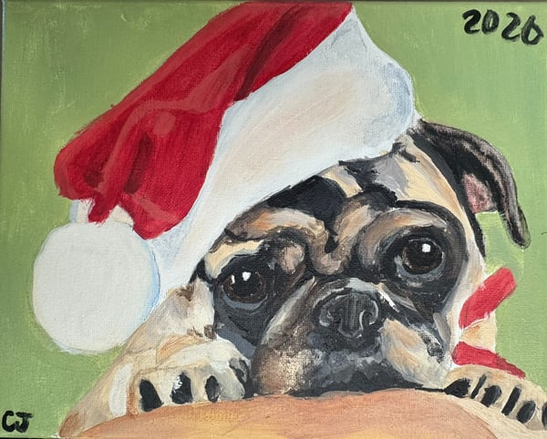 Picture for: Paint Your Pet Workshop