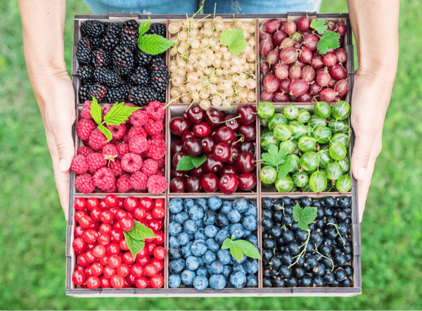 Picture for Online: Growing Backyard Fruits