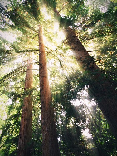 Picture for: All About Minnesota (Pre-K)