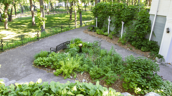 Course Linden Hill Walking Club image 3