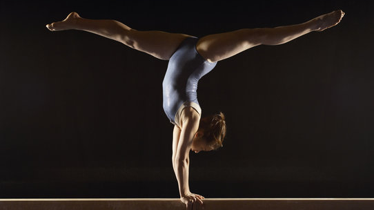 Picture for: Level 3