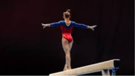 Picture for: Beginner