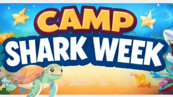 Picture for: Camp Curiosity - SHARK WEEK CAMP