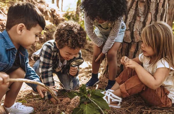 Picture for: Nature Learning at Linden Hill