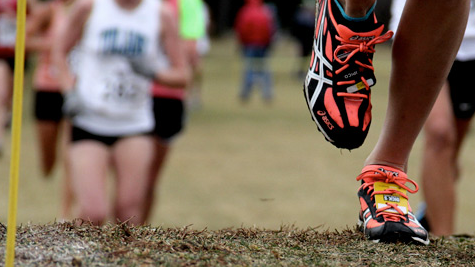 Course Cross Country image 1