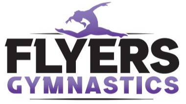 Picture for: JR.Flyers Gymnastics