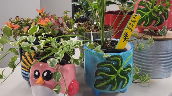 Course Fall for Pottery:  A Cozy Night Out at Linden Hill image 3