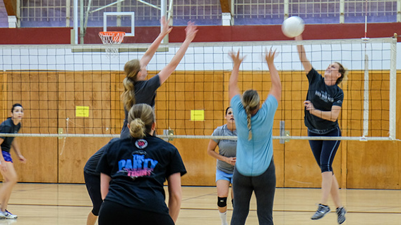 Picture for: Adult Volleyball League