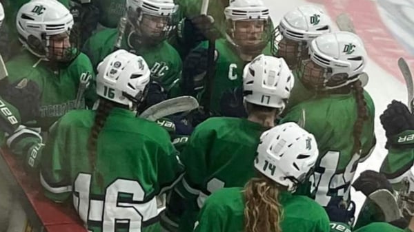 Picture for Litchfield/Dassel-Cokato High School Girls Hockey Summer Training Program 2026