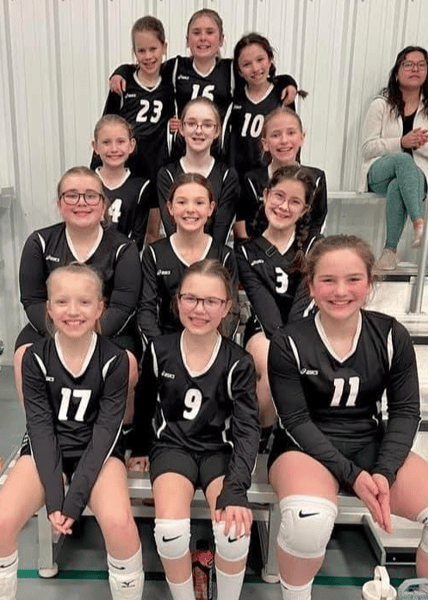 Picture for: Litchfield JO Volleyball Registration 5th-8th Grade