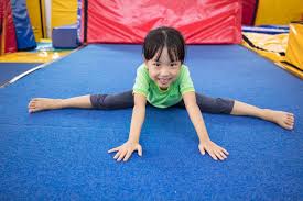 Picture for: Gymnastics