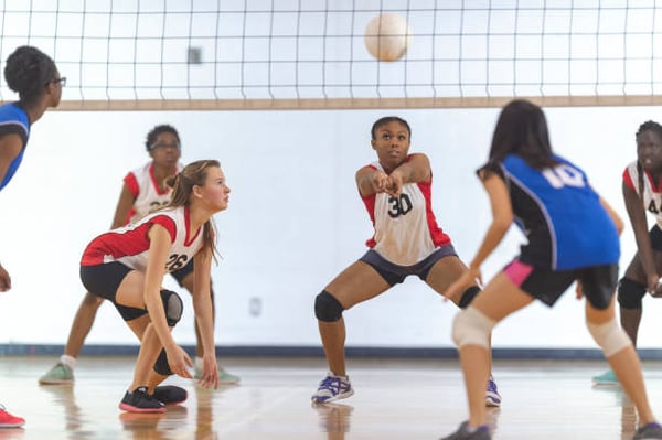 Picture for Volleyball