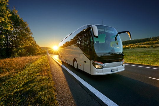 Picture for: Adult Trips