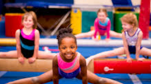Course Dragons Gymnastics Mini Camp image 1