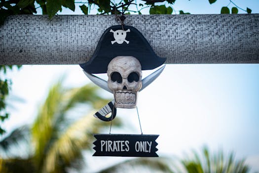 Picture for: Boys Pirate Party Ages 4-9
