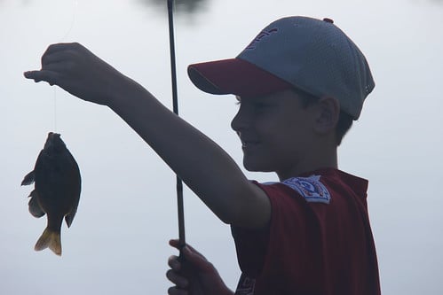 Picture for: Litchfield Student Anglers Club 2026