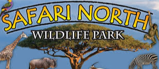 Picture for: ECFE Field Trip Adventure: Safari North Wildlife Park