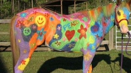 Picture for: Live Horse Painting (Ages 4 & Up)