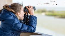 Picture for: WANT TO BE A BIRD DETECTIVE?