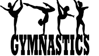 Picture for: GYMNASTICS:  BEGINNER/INTERMEDIATE (Ages 11 & Up)