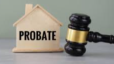 Picture for: Let’s Probate An Actual Minnesota Estate Live Online
