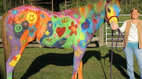 Course Adults With Disabilities:  Horse Painting image 1