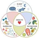 Picture for: Affects of Stress (18+) Presented by Wellness by Sarah