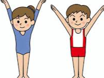 Course Gymnastics - Summer (4/5 year olds - Haven't completed kindergarten) image 1