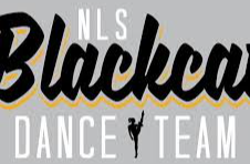Picture for: Dance Class - Tiny Dancers - NLS Blackcat Fundraiser (4/5 years old - haven't completed kindergarten)