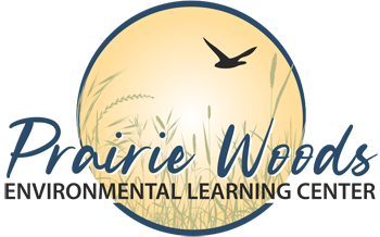 Image for Family Campfire at PWELC