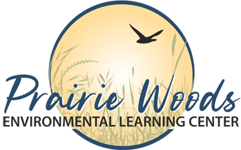 Picture for: Intro to Cross-Country Skiing (2nd Grade -Adults)