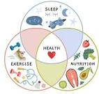Picture for: Introduction to Nutritional Therapy (Ages 18+) Presented by Wellness by Sarah