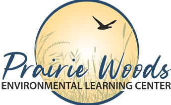 Picture for: Sunset Paddle (Children must be accompanied by a participating adult)