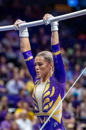 Picture for: Gymnastics - Club Team Fall 2025