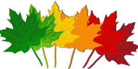 Picture for: Fall into Colors (Birth - 5 yrs Old)