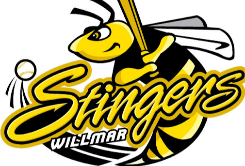 Image for Stingers Baseball Clinic