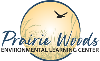 Image for Story Hour at the Pioneer Cabin