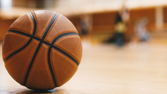Picture for: Community Ed Travel Boys Basketball (Grades 3-6)