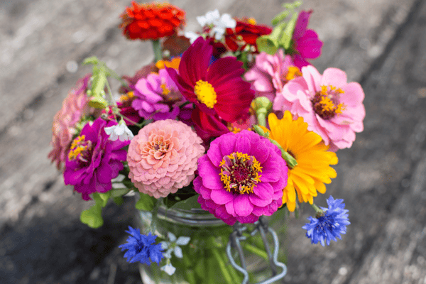 Course Cut Flower Garden image 1