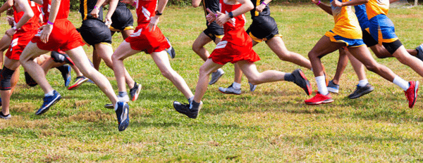 Picture for: Youth Cross Country