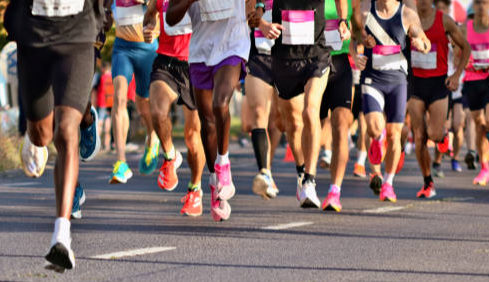 Image for Track Camp