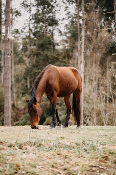 Picture for Enrichment