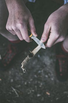 Picture for: Winter Whittling Workshop