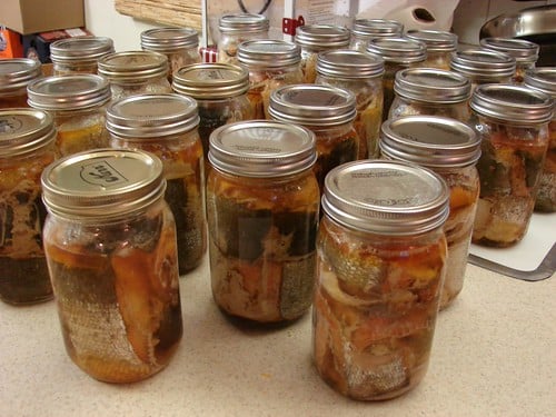 Canned Red Salmon