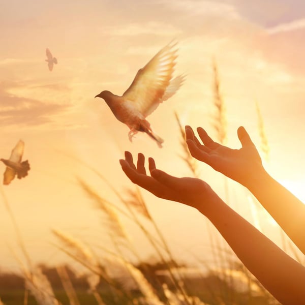 Picture for: Living Fully, Dying Peacefully: Embracing Death's Sacred Journey & the Role of a Death Doula