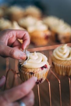 Picture for: Cupcakes in Bloom