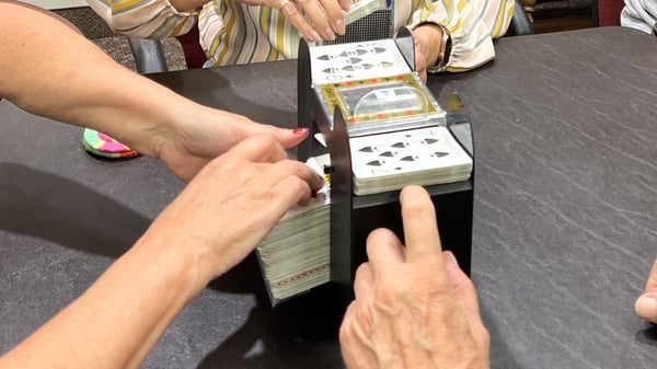 Picture for: Hand & Foot Card Game