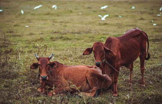 Picture for: Dakota County 4-H Explores Nature’s Superheroes